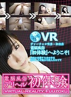 【VR】電脳風俗 デリヘル初体験 永井みひな