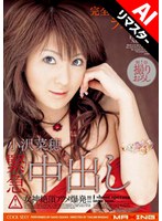 【AIリマスター版】小沢菜穂 緊急中出し