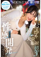 おもちゃ・大量顔射・初3P・オイルエステ もっと気持ち良くなるために初めての一人旅 3泊4日の性感開発トラベラー 新川空 あらかわそら