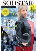離婚したてのぼくが大型バイクにまたがるギャルライダーとツーリングで運命的に出会い 彼女が営む海沿いの民宿でたらふくご馳走になって一晩中なまハメしまくって12回射精した 夏目響